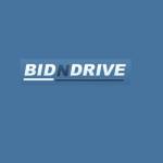 Bidn drive Profile Picture