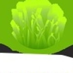 Synthectic Grass Masters Profile Picture