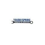 Toledo Spring Profile Picture