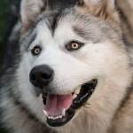 kiri cowell Profile Picture