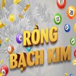 Rồng Bạch Kim 247 Profile Picture