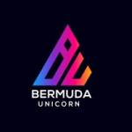 bermuda unicorn Profile Picture