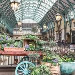 Conservatories London Profile Picture