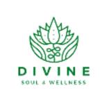 Divine Soul Wellness Spa Profile Picture