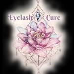 Eyelash cure Profile Picture