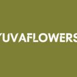 VIPUL Yuvaflowers Profile Picture