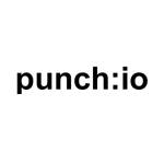 Punch Io Profile Picture