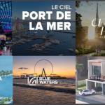 meraas dx666 Profile Picture