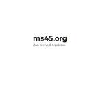 Ms45 X Profile Picture