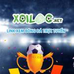 Xôi Lạc TV Profile Picture