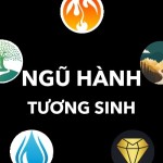 nguhanh tuongsinh Profile Picture