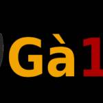 Gà 179 179 Profile Picture