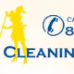 Cleaning and hauling Profile Picture