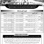 Tipu RajPoot Profile Picture