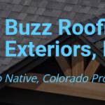 Buzz Roofing And Exteriors Inc Profile Picture