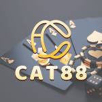 Cat88 Best Place To Bet Profile Picture