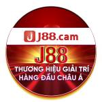 J88 Cam Profile Picture