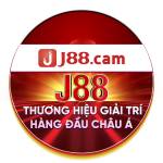 J88 Cam Profile Picture