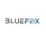 bluefoxto Profile Picture