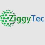 ZiggyTec Limited Profile Picture