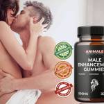 Animale Male Enhancement Gummies Profile Picture