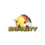 GÀ VÀNG TV Profile Picture