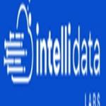 IntelliData Labs Profile Picture