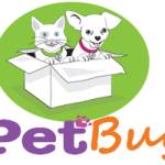 pet buy Profile Picture
