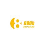 888b vorg Profile Picture