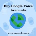 Buy Google Voice Accounts Profile Picture