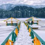 Zipntrip Profile Picture