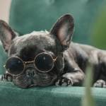 Gloria Bowman Profile Picture