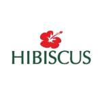 Spa Hibiscus Profile Picture