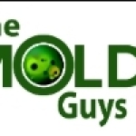 Mold Guys Profile Picture