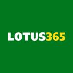 lotus365 Apk Profile Picture