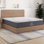 MATTRESS VEGAS Profile Picture