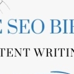 The Seo Bird Profile Picture