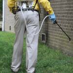 Reeds Pest Control TX Profile Picture