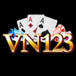 Vn123 Profile Picture