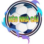 Keonhacaitv top Profile Picture