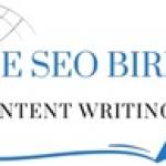 The Seo Bird Profile Picture