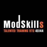 ModSkills Profile Picture