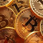traderNeupro Nedir Profile Picture