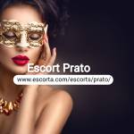 Pop Prato Profile Picture