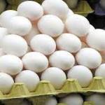 egg rate Profile Picture
