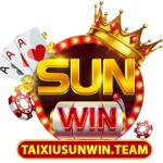 Taixiusunwin team Profile Picture