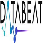 DataBeat Consultants Profile Picture