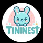 seotininest Profile Picture