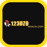 123dzo nhacai Profile Picture