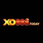 Casino XO888 Profile Picture